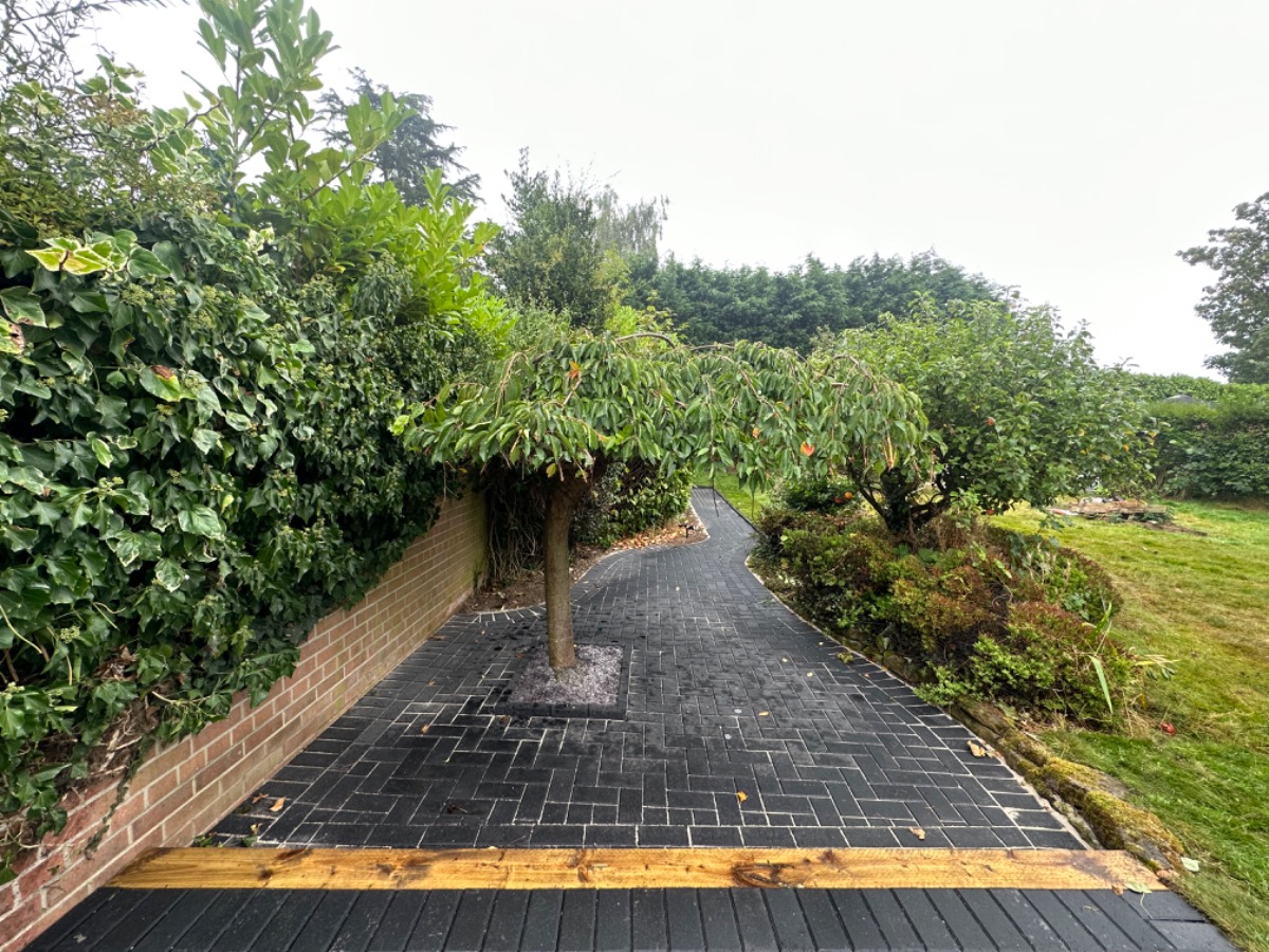 Patio and Path Specialist: Image 7